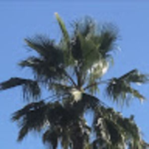 Meet your Posher, Annabella